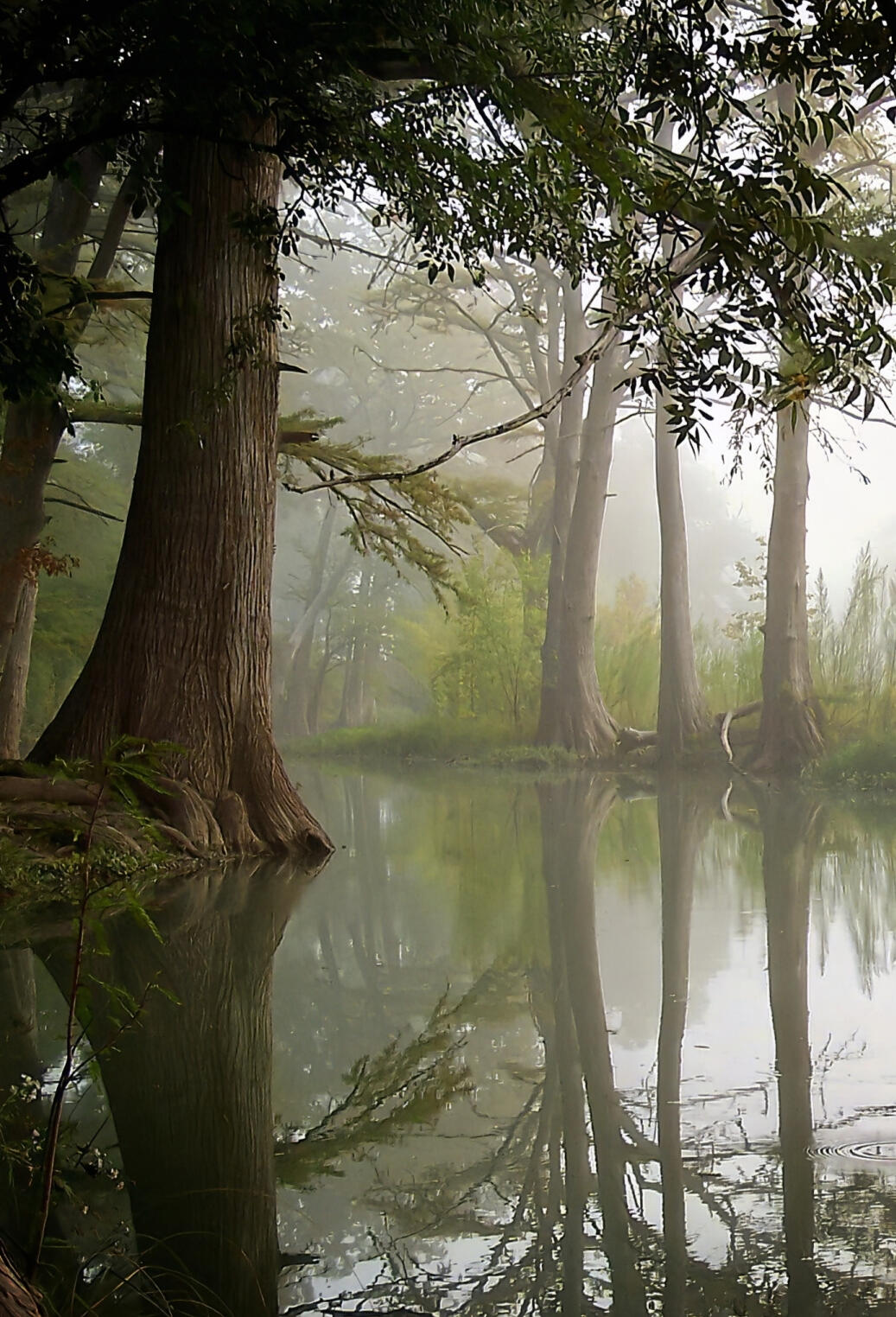 Medina River in the Regional Park